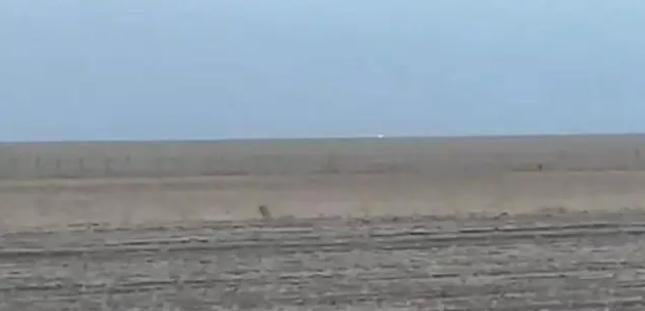 中蒙邊境線明火已被撲滅,為什么蒙古那么容易發生草原火災?