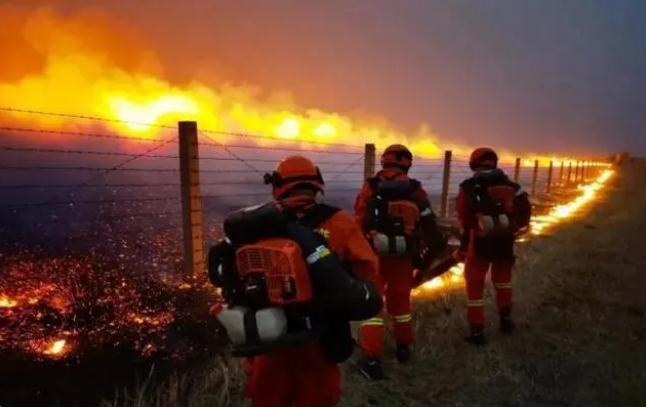 嚴防森林火災，守牢紅線底線