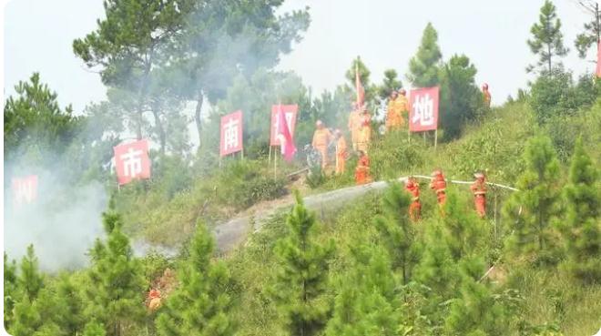 永州市南部地區(道縣)2023年跨區域森林火災撲救實戰演練舉行